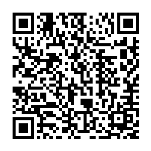 我当时……以为自己是在做梦……我在那个原始森林里漫无目的地走二维码生成