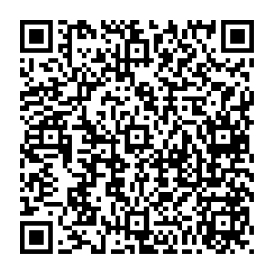 我当然只是没想到您这大学教授也想不到钢丝的范畴都扩达到了学术界啦……龚教授我跟你说……二维码生成