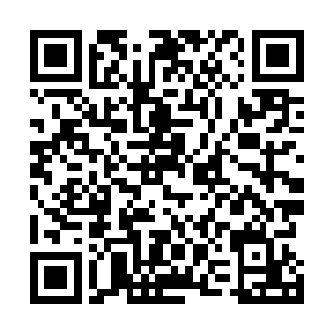 我忍不住又把我准备改变身份潜回归德复仇的打算告诉她二维码生成