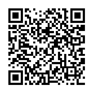 我怕芊芊活不过几年……故娶一个名正言顺的正妻是免不了二维码生成