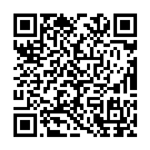 我打听到了个大新闻――珍妮弗和萨尔维――什么二维码生成