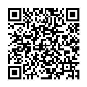 我是绝对不会叫你抢掉我的这家族第三名的位置的二维码生成