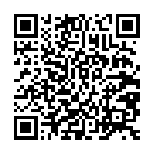 我没看到胖爷爷和瘦爷爷取什么法器来收那黑色小蛇和超级巨蟒二维码生成