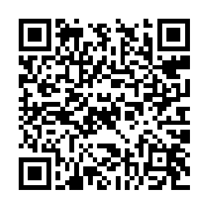 我现在终于明白你为什么不让狼主去对玉田动手了二维码生成
