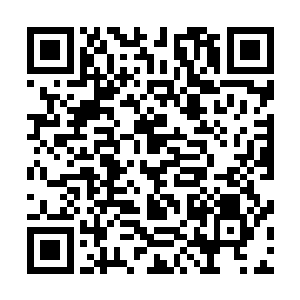 我的星力感应到了一股恐怖的力量正在他体内滋生……渍渍二维码生成