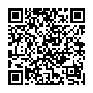 我看他的模样可不是仅仅想要你加入他们家族那么简单啊二维码生成