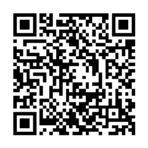 我看你还是挺强的……如果你能归顺我们弗利萨大王的话……二维码生成