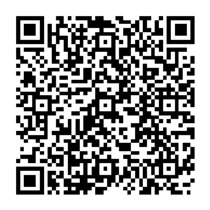 我知道你从来没有带我一起离开的打算……毕竟我之前对你有种种无礼和不敬之处二维码生成