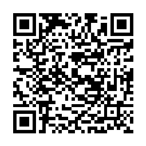 我确实不大服气大家说苏文是什么年轻人中的第一人二维码生成