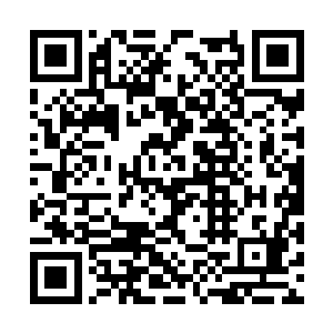 我记得你在茅山别院的拍卖会上拍到了一张贵宾卡二维码生成