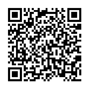 我还在回想着刚刚跟长明宗的主人会面的时候发生的一幕幕二维码生成