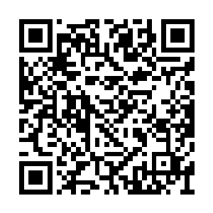 或许是商会给了服用了一些暂时提升实力的丹药二维码生成