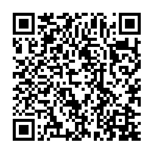 或许是超级霸王龙这种硬碰硬的方式激起了魔化分身的斗志和杀性二维码生成