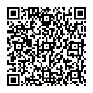 或高高在上的神色都让这位自从晋升到玄神级之后就从来无人敢在他面前放肆的龙家七长老二维码生成