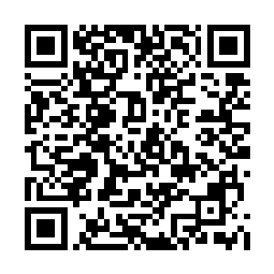 战功榜就成了衡量种族新生代战斗力的唯一标准二维码生成