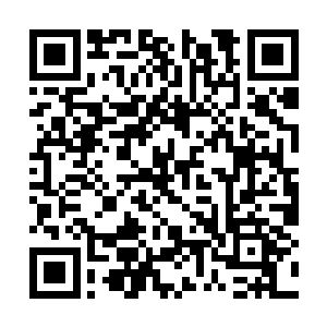 戚家和玉扇门这样的势力之前根本没有任何的交集二维码生成