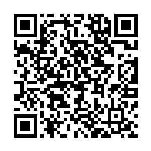 所以最后才会让其在任务剧情中碌碌无为地耗尽生命值……二维码生成