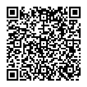 所以现在只有很少得修士抱着试试看的心态会在附近的海域中搜寻一下有没有什么落网之鱼二维码生成