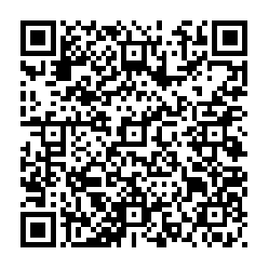 所有跟约书亚・列农接触过的人都必须进行全面的身体检查以确认他们人类的身份二维码生成