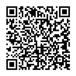 才刚刚生出一丝萌芽的美好爱恋被默默无名的伙计残忍的掐死在最初的时候二维码生成