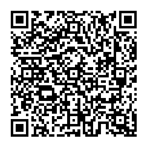 才可以真正释放出最为恐怖的威力……就好像当初秦方的老爹秦天楠对抗伊贺流的服部良一一样的二维码生成