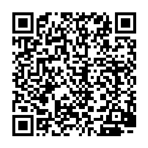 才在客人逐渐变大的议论声中将爪子小心翼翼的伸向了卡在戒指盒里的戒指二维码生成