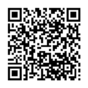 打算在那姑娘结实修长的腿上挖出弹头并止血的时候二维码生成