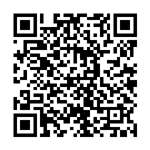 抛砖引玉引导就不再言……其实是看在两个女徒的份上二维码生成