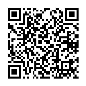 拿出里面所有的银行卡信用卡和身份证摊在茶几上二维码生成