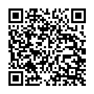 指的就是丁羽不要再想着沾染王家任何政治上面的势力了二维码生成