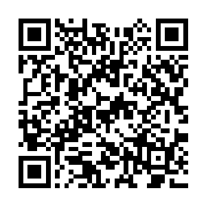 据传上代剑王在一重异象修为时能战九重异象宗师二维码生成