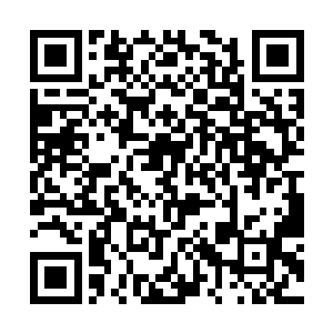 掌控海文星的家族花家家族花连绵也坐在大殿的下首二维码生成