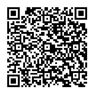接下來 不管我说了什么 你信也好 不信也罢 但我会保证 我说的绝对都是真的 二维码生成