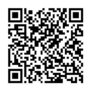 支持美国北南双方在充分和解和互相理解的基础上实现和平统一二维码生成