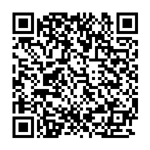 敖厉便是因为在下界吸收炼化了一滴上古巨龙的精血这才提前飞升仙界二维码生成