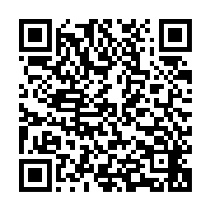 整个东方修仙界已经如同撒开了一张巨网一般・在打捞着许紫烟二维码生成
