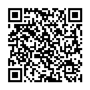 整个办公室里的景象与他上次离开几乎没有任何变化二维码生成