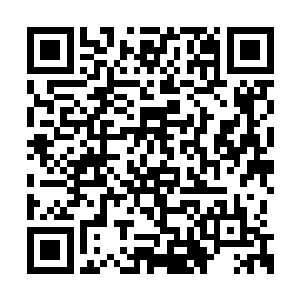 整个舞台却在雨果的演绎之中绽放出不可思议的二维码生成