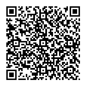 整片血海都在疯狂地翻滚一具具恶心的尸体随着血海沉沉浮浮俨然是一幕地狱之景让我感到毛骨悚然二维码生成