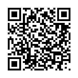 文宸决定原谅弟弟们占用信鸽的行为二维码生成