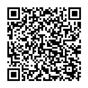 无形的锋芒和两个人身上的气息瞬间就交错了碰撞挤压了无数个来回二维码生成