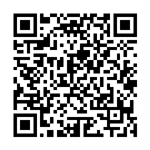 无数正守在设备旁的网友何尝不是无数人正同样目瞪口呆二维码生成