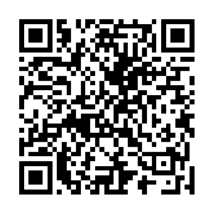 无数的人全部都在等着看主席台上的几位主上是什么态度二维码生成