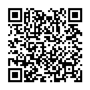 无数金色的动物绒毛和金属铺成了一个厚实的垫子二维码生成