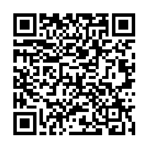 无数银丝缠绕着他的每一束神经簇和每一枚脑细胞二维码生成