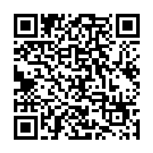 无论是攻击还是防御的他身上的都不比任何修士差二维码生成