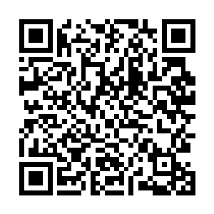 既然你们说到燕京――你知道秦洛这次来燕京是做什么吗二维码生成