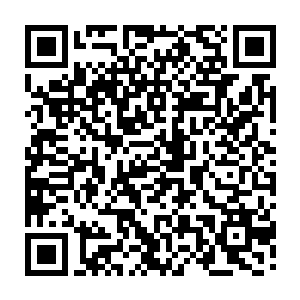 早就已经把她现在教的全都学会的龙战此时一本正经的跟着大家一起学个二维码生成