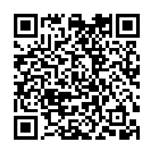 时至此刻就算夏侯赢再怎么不愿意也已经不得不认输二维码生成