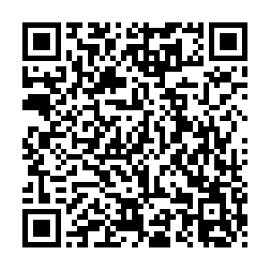 易红仙人先前在东胜神州接引地拿给流墨墨他们的接引令就是用在这儿~二维码生成